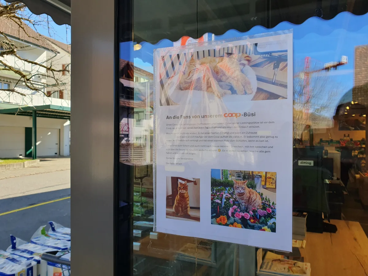 Büsi Chatty vor dem Coop in Bäretswil